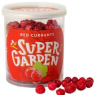 Freeze Dried Red Currants